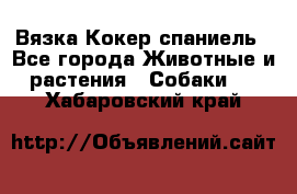 Вязка Кокер спаниель - Все города Животные и растения » Собаки   . Хабаровский край